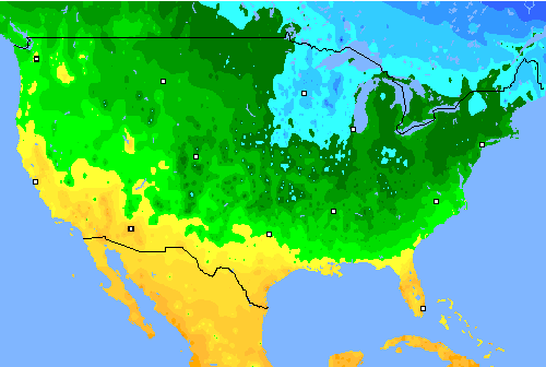 Tmin USA